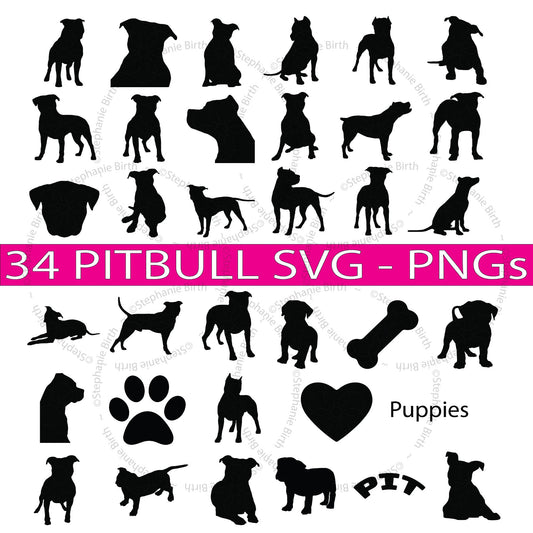 34 Pitbulls - Digital Download